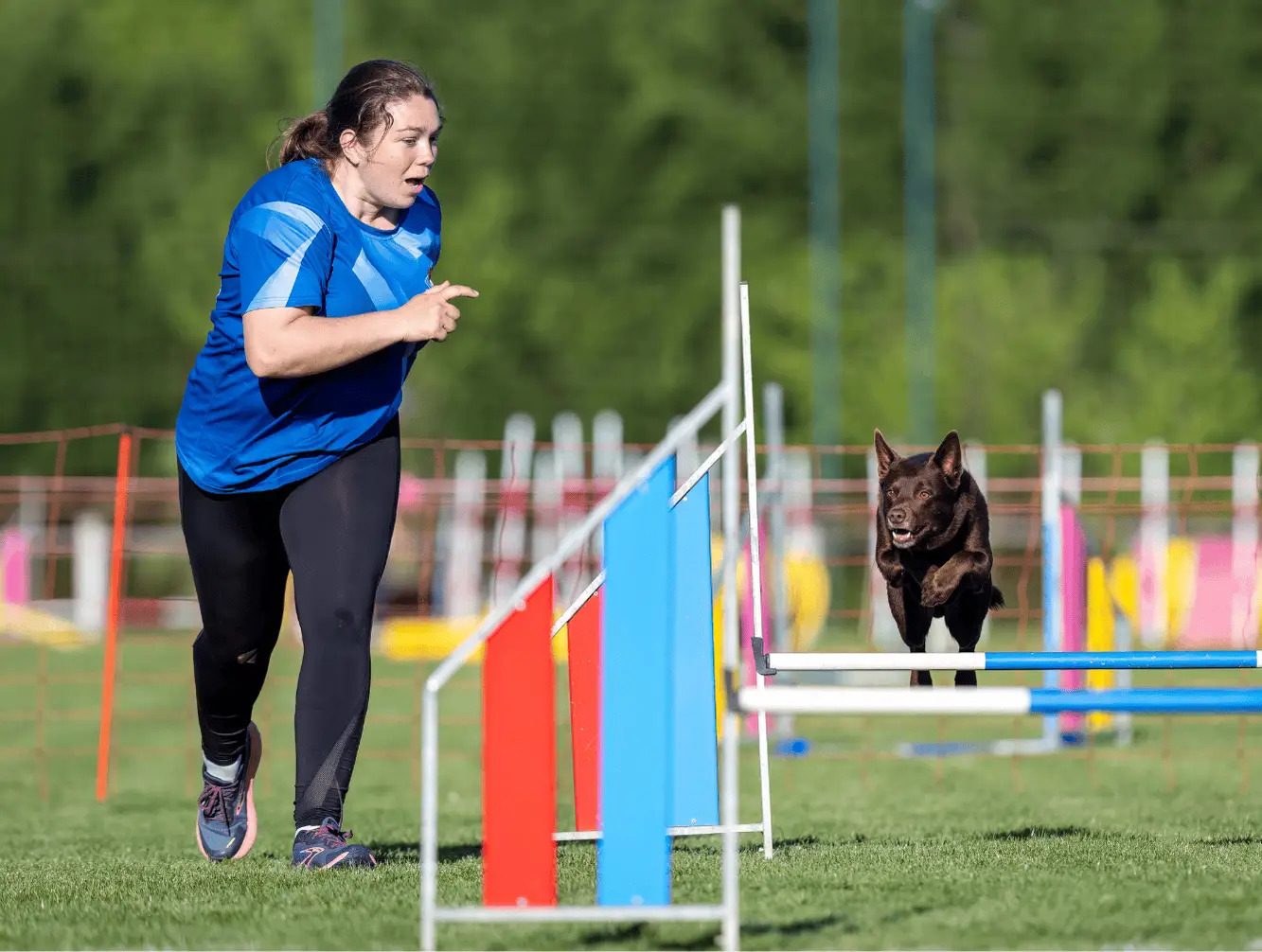 aurelie-cani-ninja