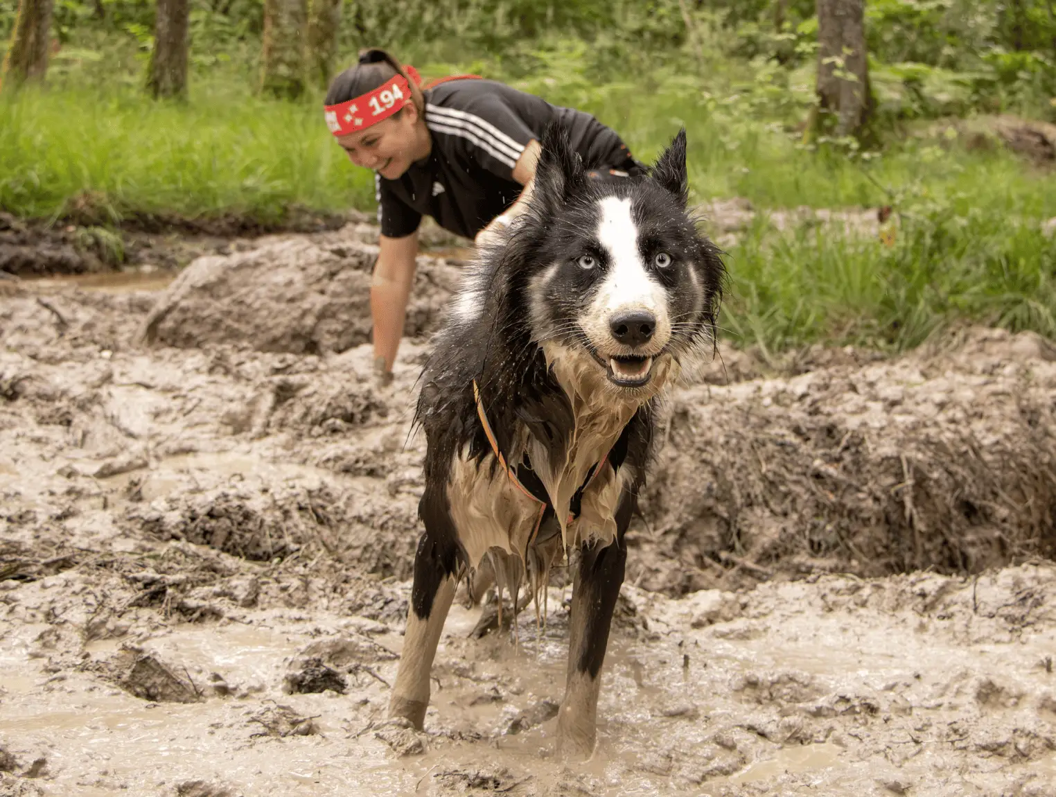 cani-ninja-course-obstacle-avec-chien-sud-ouest-boue-canicross