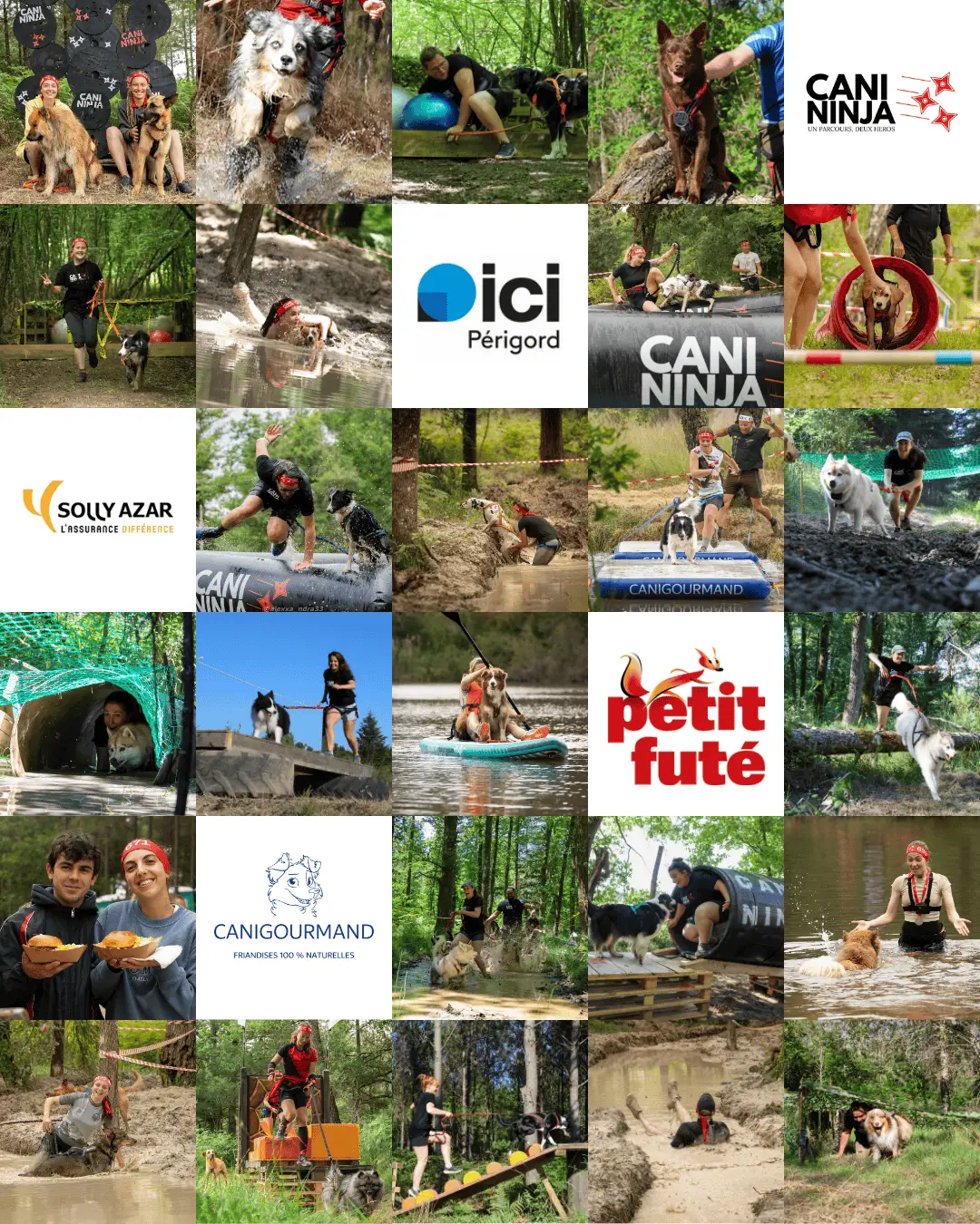 cani-ninja-course-obstacle-chien-2025