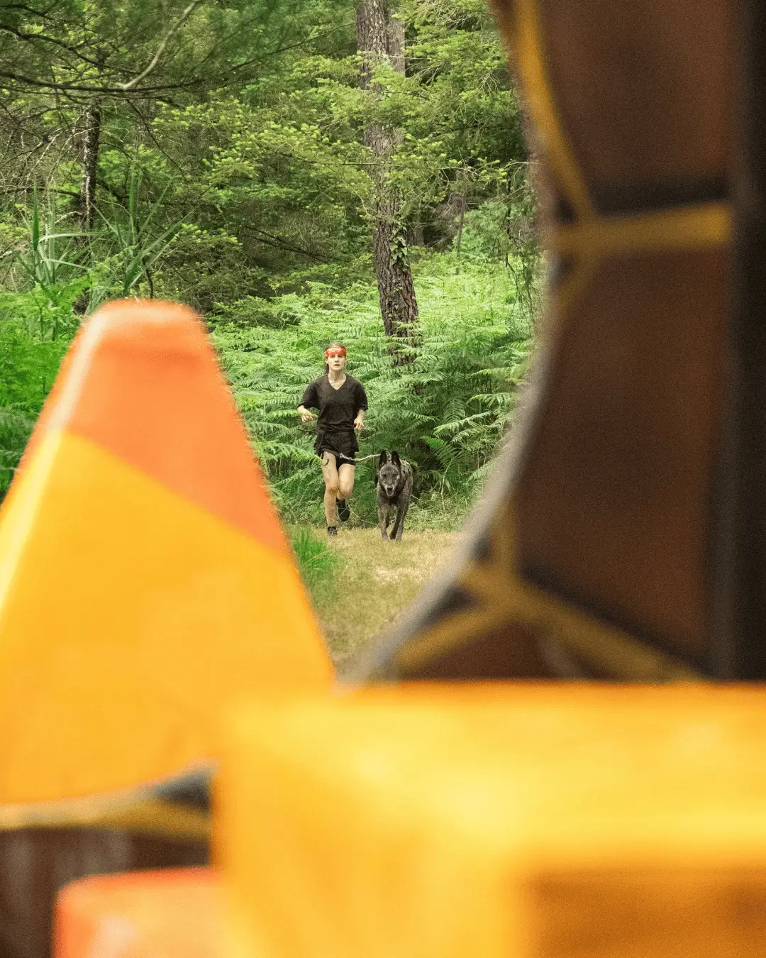cani-ninja-obstacle