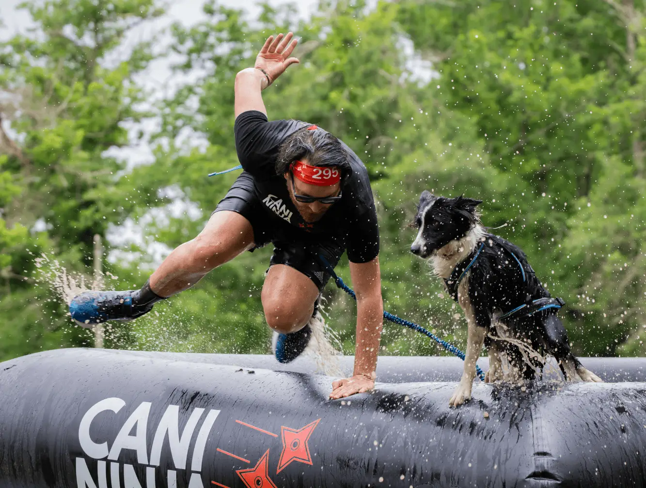 course-obstacle-avec-son-chien-cani-ninja