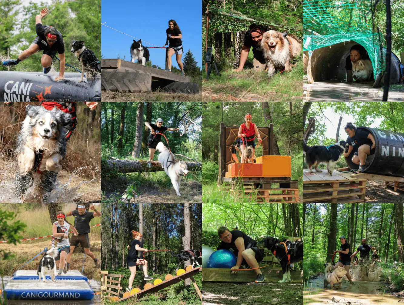 gallerie-obstacle-cani-ninja