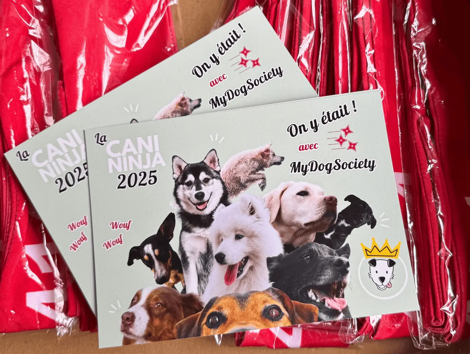 my-dog-society-cani-ninja