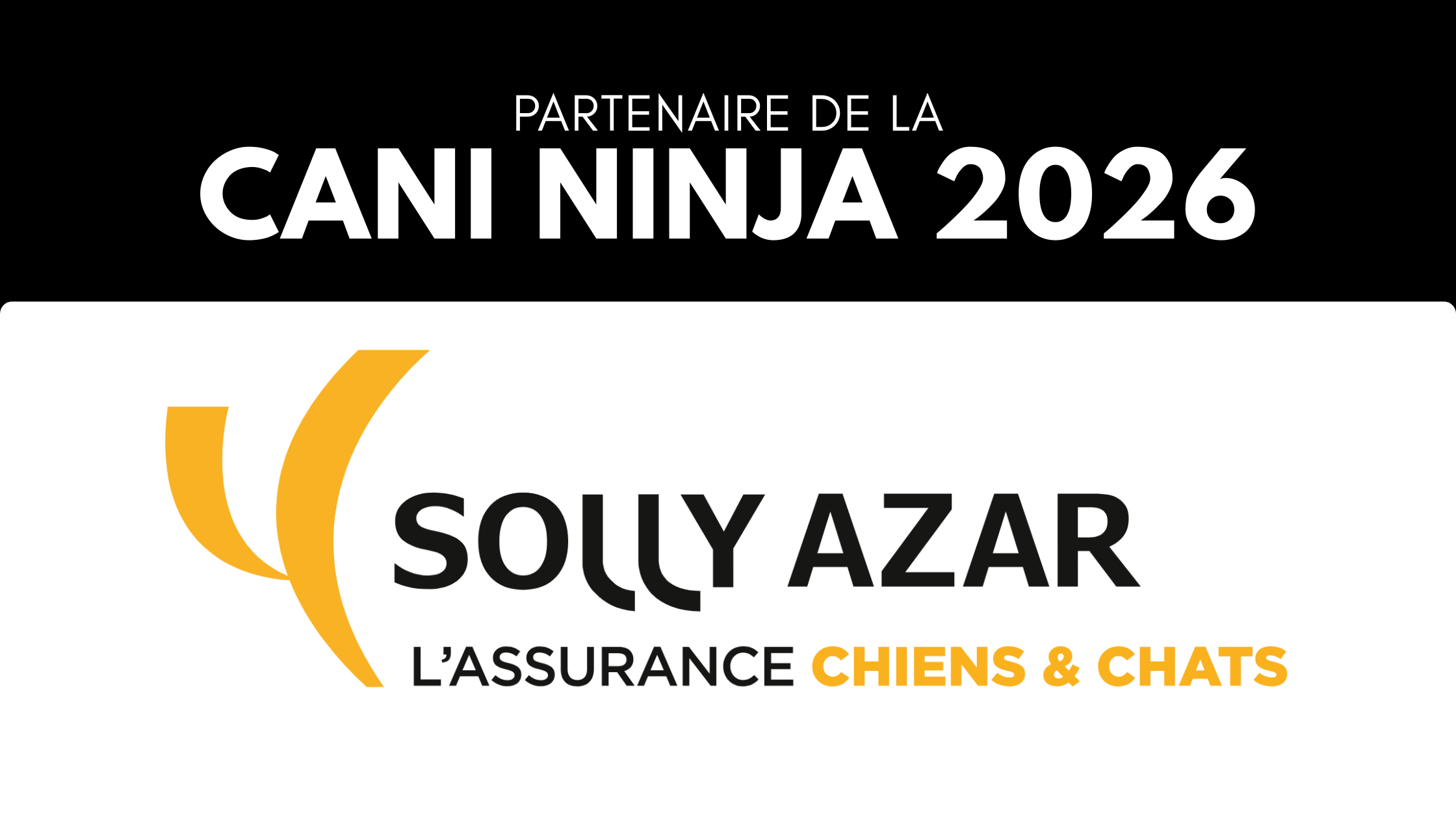 solly azar partenaire cani ninja 2026