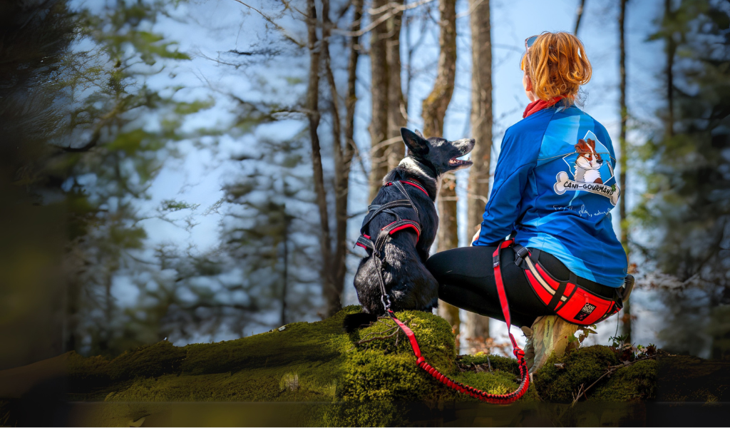 DIAPO SITE CANI NINJA (6)