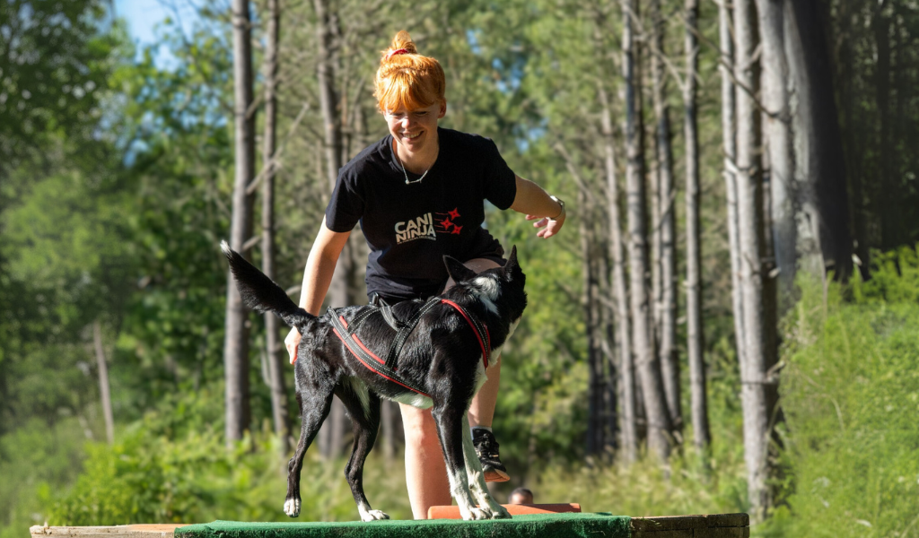 DIAPO SITE CANI NINJA