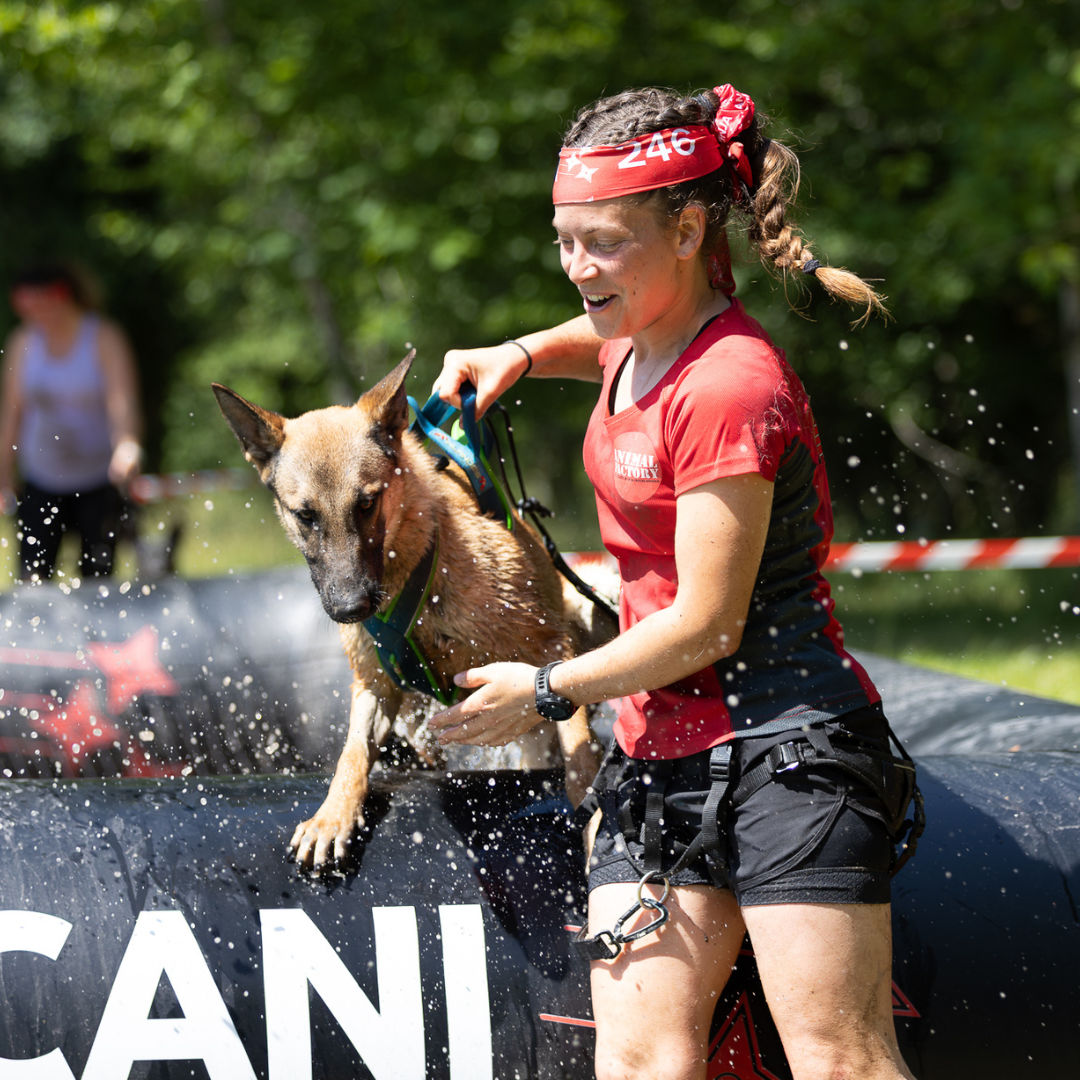 CARRE BLOG CANI NINJA