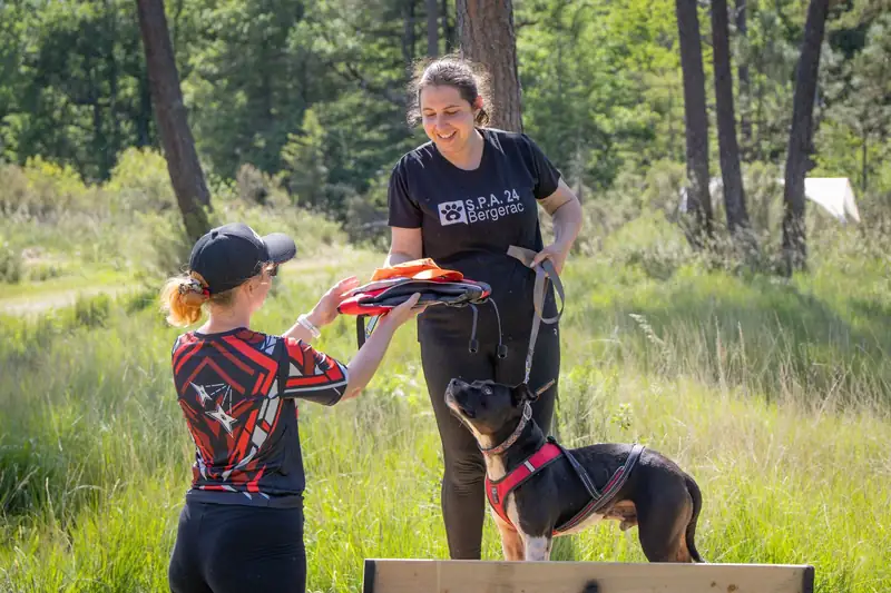 Échange entre une bénévole CANI NINJA et la SPA de Bergerac avec un chien